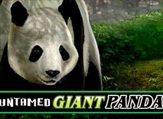 Untamed Giant Panda